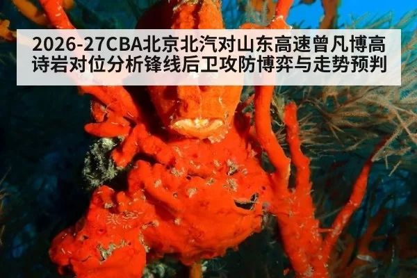 2026-27CBA北京北汽对山东高速曾凡博高诗岩对位分析锋线后卫攻防博弈与走势预判